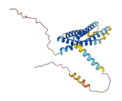 MS4A4A 3D structure
