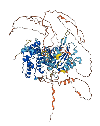 PGBD1 3D structure