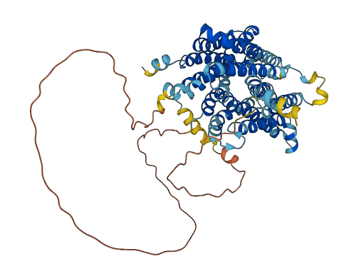 SLC45A3 3D structure
