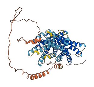 SLC41A2 3D structure