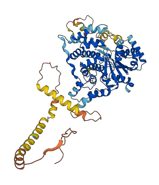 SERAC1 3D structure