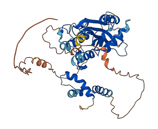MAEL 3D structure