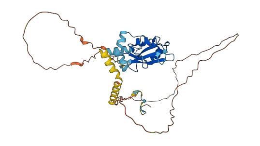 HSH2D 3D structure