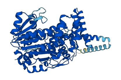 FAR2 3D structure