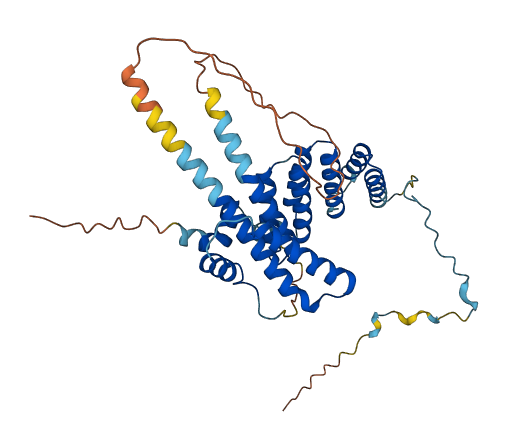 C8orf76 3D structure