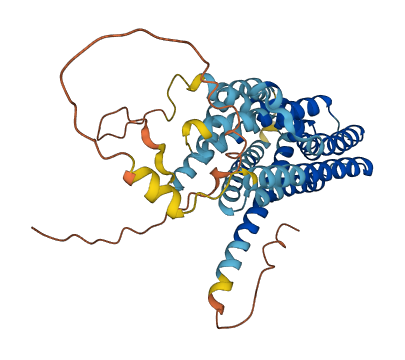 SLC35E1 3D structure