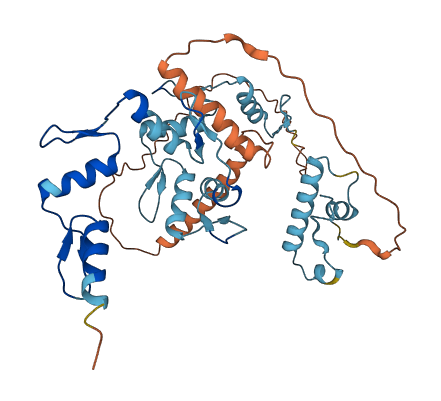 ZNF514 3D structure