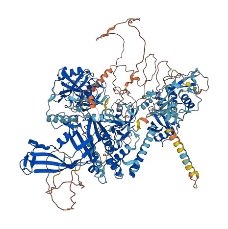 USP47 3D structure