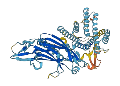 CLPTM1L 3D structure