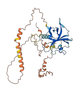 FAM71F1 3D structure