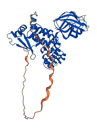 BTBD6 3D structure