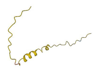 PRAC1 3D structure