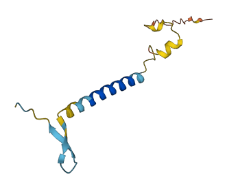 SMIM8 3D structure