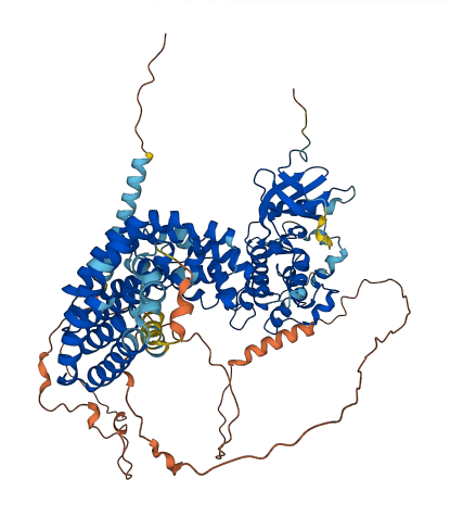 SCYL1 3D structure