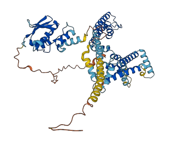 KCNS1 3D structure