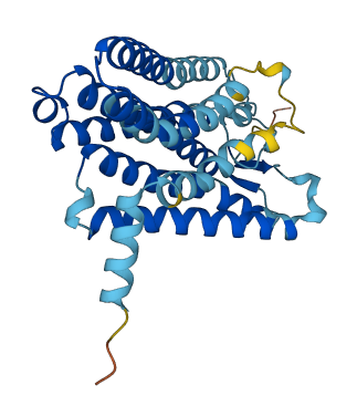 OR10C1 3D structure