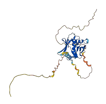 LRATD2 3D structure