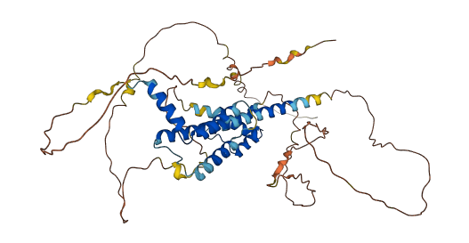PKNOX2 3D structure