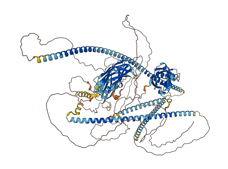 RPGRIP1 3D structure