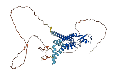 GJD4 3D structure