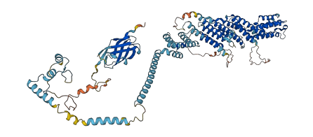 EXOC2 3D structure