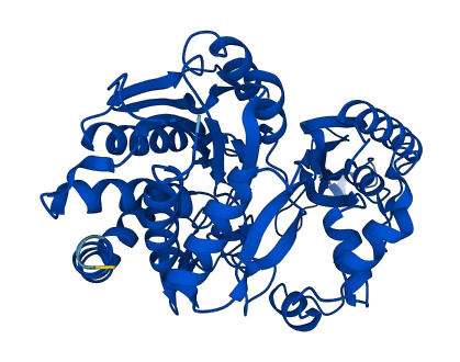 CNDP2 3D structure