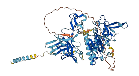 LMLN 3D structure