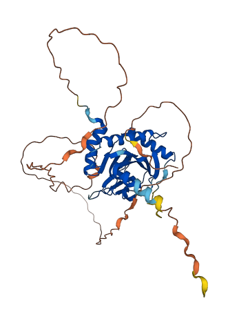 EGLN2 3D structure