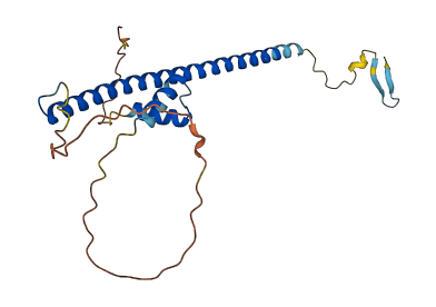 FAM167A 3D structure