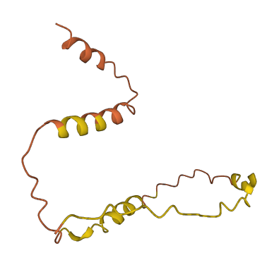FAM167A-AS1 3D structure