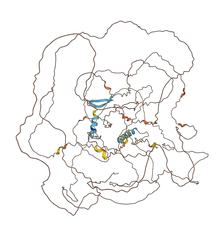POM121L2 3D structure