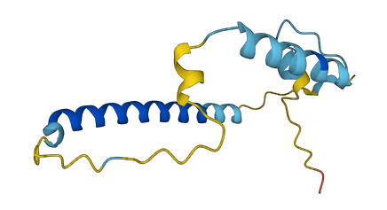 C4orf36 3D structure