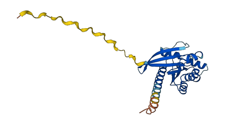RHOV 3D structure