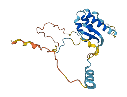 SNX22 3D structure