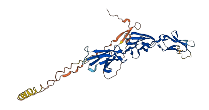 FCRL1 3D structure