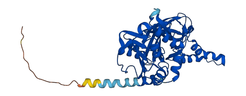 PRMT6 3D structure