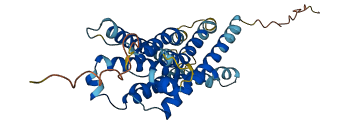 MRGPRX4 3D structure