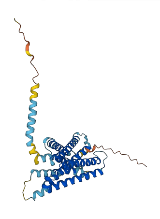 MRGPRX2 3D structure