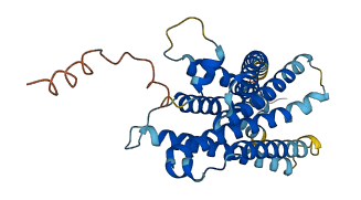 MRGPRX1 3D structure