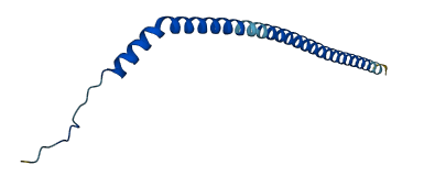 ATP6V1G3 3D structure