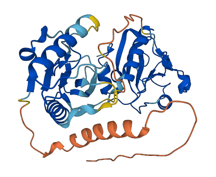PGLYRP4 3D structure