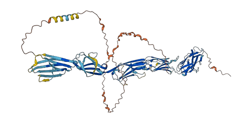 SIGLEC10 3D structure