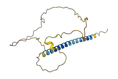 BMF 3D structure