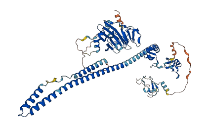 TRIM47 3D structure