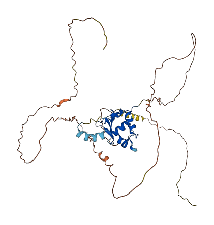 HSFY1 3D structure