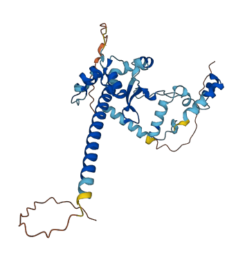 CXorf58 3D structure