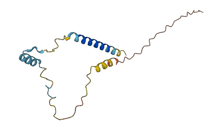 C16orf92 3D structure