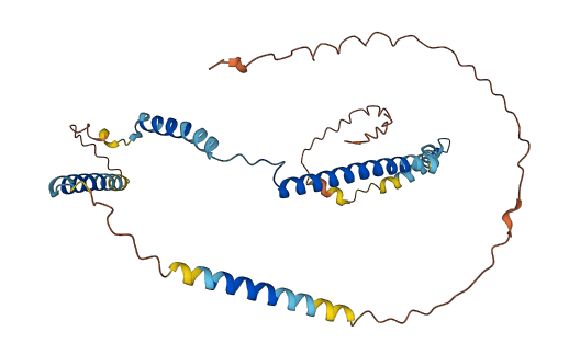 C8orf48 3D structure
