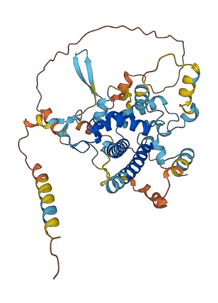 PPP1R36 3D structure