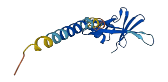 TAFA4 3D structure